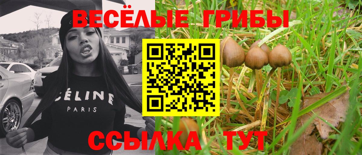 Псилоцибиновые грибы ЛСД Усолье-Сибирское