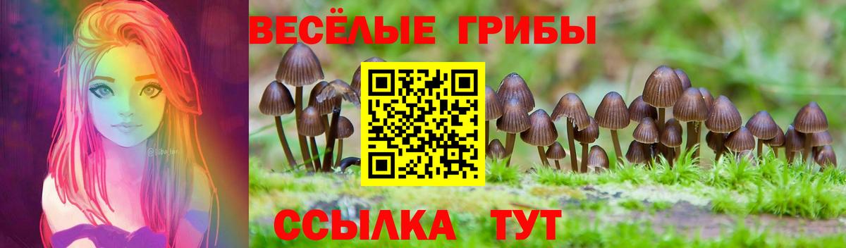 Усолье-Сибирское  Псилоцибиновые грибы мухоморы  Вход с VPN 